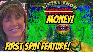 LITTLE SHOP OF MONEY-FIRST SPIN FEATURE