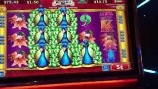 ADORNED PEACOCK ~ 50 free spins Slot Machine Bonus ~ Nice Win!
