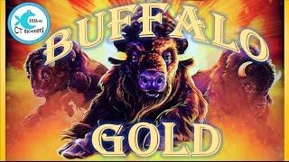 Buffalo Gold Slot Machine - Aristocrat - 2 cent denom - Big Win Bonus!