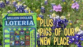 $20 Million Dollar Loteria + Pics of our New Place!  TEXAS LOTTERY Scratch Off Tickets