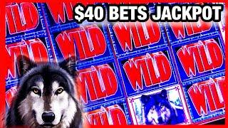 MORE JACKPOTS/ WOLF RUN HIGH LIMIT SLOT/ $40 BETS/ MUCHO DINERO SLOTS