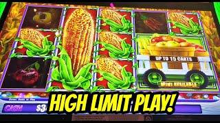 HIGH LIMIT FUN on Cash Crop, Cashman Link, and Huff n More Puff!