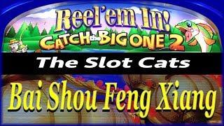 Reel 'em In! Catch the Big One 2  Bai Shao Feng Xiang  The Slot Cats