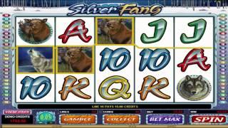 Silver Fang   free slot machine game preview by Slotozilla.com