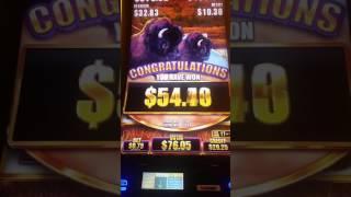 Buffalo Gold & Buffalo Grand Slot play - All Bonuses 2/19/17