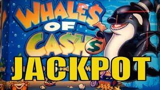 •JACKPOT ! Whales of Cash Slot•Lovely Old Aristocrat•Black Panther/Seal the Deal/Wild Stallion•