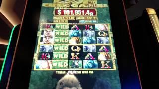 Aristocrat Tarzan Slot Machine bonus Free spins