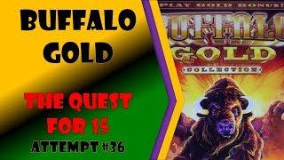 The Quest for 15 - Buffalo Gold Attempt #36