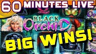 60 Minutes Live Black Orchid - BIG BONUS WINS