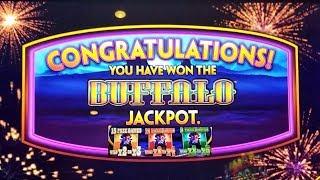Buffalo Deluxe Wonder 4 Slot Machine  JACKPOT & SUPER FREE GAMES WON | GREAT SESSION