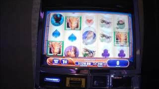 Buffalo Spirit Live Play Max Bet with bonus and replicating wild feature slot machine