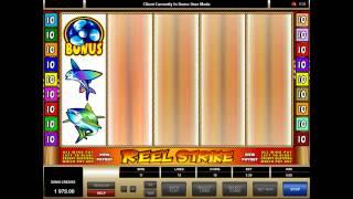 Reel Strike - Onlinecasinos.best