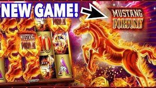 •️ New Game •️ - Winning Big on Mustang Fortune !