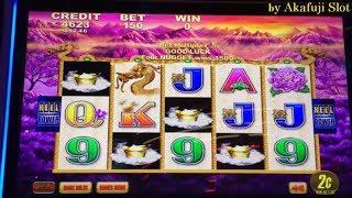 Free Play $270Fortune King Deluxe Slot machine, 50 Dragon,Timber Wolf San Manuel, Akafuji slot