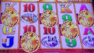 LETS WATCH LIVE!! 5 COINS! BUFFALO GOLD