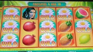 Merkur/CasinoFruit of the DesertWild of CircusHot FruitasticDragon Treasure Indien Ruby2020