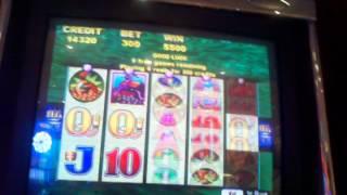 Whales of cash aristocrat slot machine bonus round