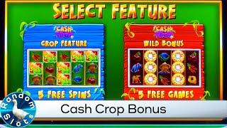 Cash Crop Slot Machine Trying for Special Bonus