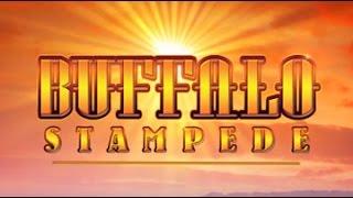 Buffalo Stampede Slot Bonus  BIG Win # 2 -Aristocrat