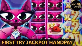 FIRST TRY HANDPAY JACKPOT MISS KITTY WILD RIDE x10 MULTIPLIER IS SIMPLY INSANE! UNBELIEVABLE WIN