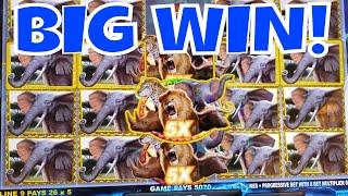 BIG WIN on BIG 5 SAFARI!
