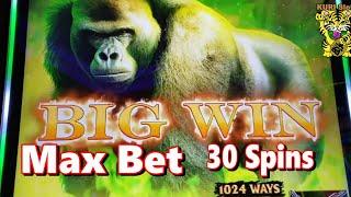 WATCH OUT ! GOLIRA IS COMING ! BEAST UNCAGED Slot (EVERI) MAX BET 30 SPINS !MAX 30 #20