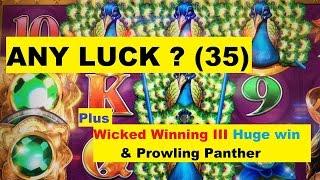 ANY LUCK ? Free Play Slot Live Play (35)ADORNED PEACOCK SlotWW 3 HUGE WIN & Panther too !