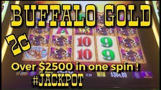 Over $2500 in ONE spin ️ BUFFALO  GOLD ️