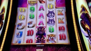 Buffalo Grand Slot Machine Live Play Max Bet