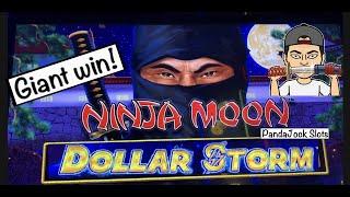 My biggest win ever on Dollar Storm, Ninja Moon️