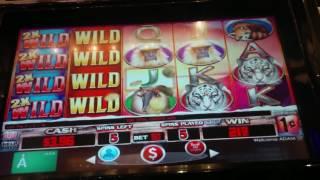 Snow Tiger Slot Machine Bonus - Everi