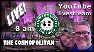 LIVE: Coffee with the Cats 12/29/2019