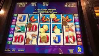 Brazil - Amazing Bonus Jackpot Win - $10 Bet Free Games Handpay Brian of Denver Slots