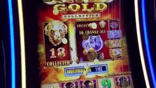 Huge Win- Buffalo Gold Slot