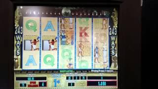 RARE Pharoahs GOLD 243 ways pay slot machine free spin bonus