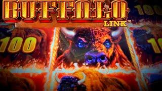 BIG WIN! Buffalo Link over 80 Free Spins | Free Feature | Hold & Spin