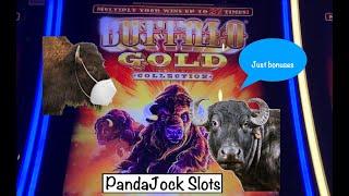 It’s Buffalo Gold bonuses!