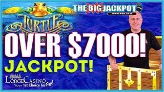 JACKPOT ON TURTLE TREASURE  - BONUS WIN ON BLACK WIDOW | The Big Jackpot