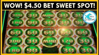 OMG! MIGHTY CASH DOUBLE UP SLOT MACHINE LOVED ONE OF US! BIG WINS AHEAD!! RAGING RHINO FREE SPINS!