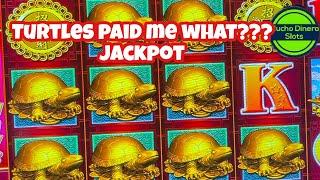 TURTLES PAID ME A JACKPOT/ 88 FORTUNES FREE GAMES/ HIGH LIMIT LIVE SLOT PLAY HUGE JACKPOTS