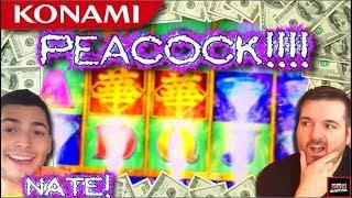 What Do We Love? PeaCOCK! LIVE PLAY and BONUS on Glamorous Peacock Slot Machine