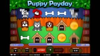 Puppy Payday - Onlinecasinos.Best