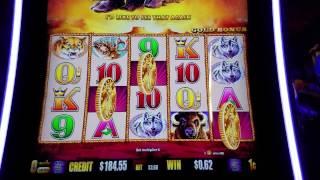 Buffalo Slot Machine  BONUS Win !!! Max Bet Live PLay