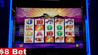 Buffalo Slot Machine Bonus Win $8 Bet !!!!MUST SEE!!!!