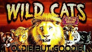 Wild Cats Slot machine! Oldie but Goodie $40 in Lets see what we can do!