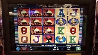 Red Rooster Bonus Jackpot at $50 A Spin | The Big Jackpot