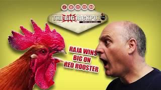 Big Jackpots on Red Rooster  | The Big Jackpot