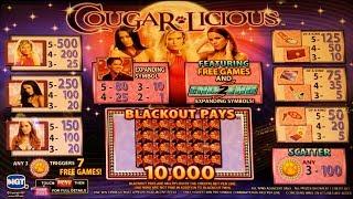 COUGAR-LICIOUS SLOT MACHINE POKIE BONUS - HARRAH'S LAS VEGAS