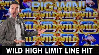 Wild HIGH LIMIT Line Hit  Ocean MAGIC Double Up at Agua Caliente Rancho Mirage #ad
