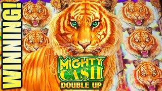 WINNING! NICE TIGER RUN MIGHTY CASH DOUBLE UP Slot Machine Bonus (Aristocrat)